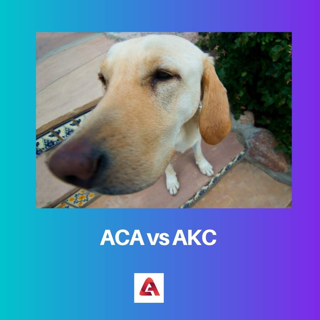 ACA vs AKC