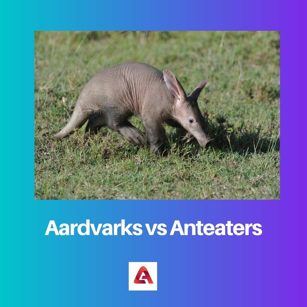 Aardvarks vs Anteaters