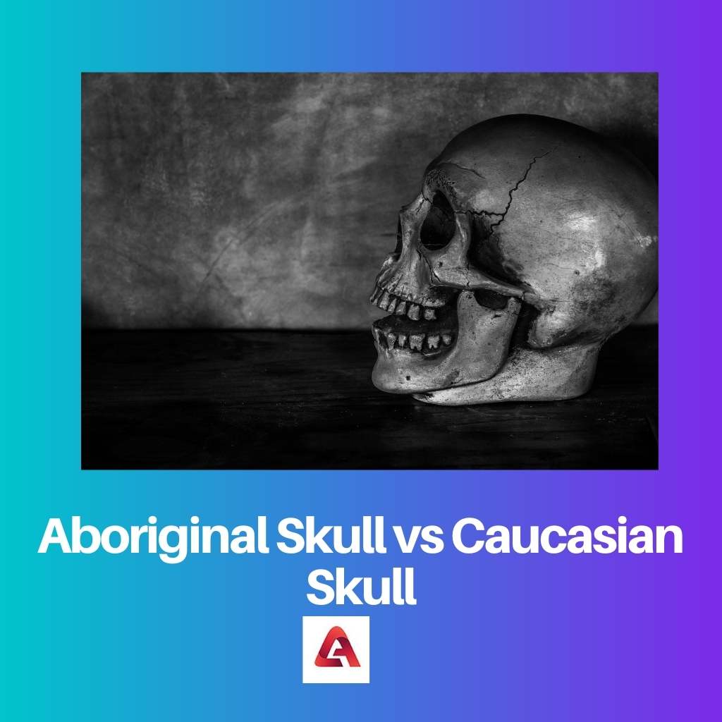 Aboriginal Skull vs Caucasian Skull