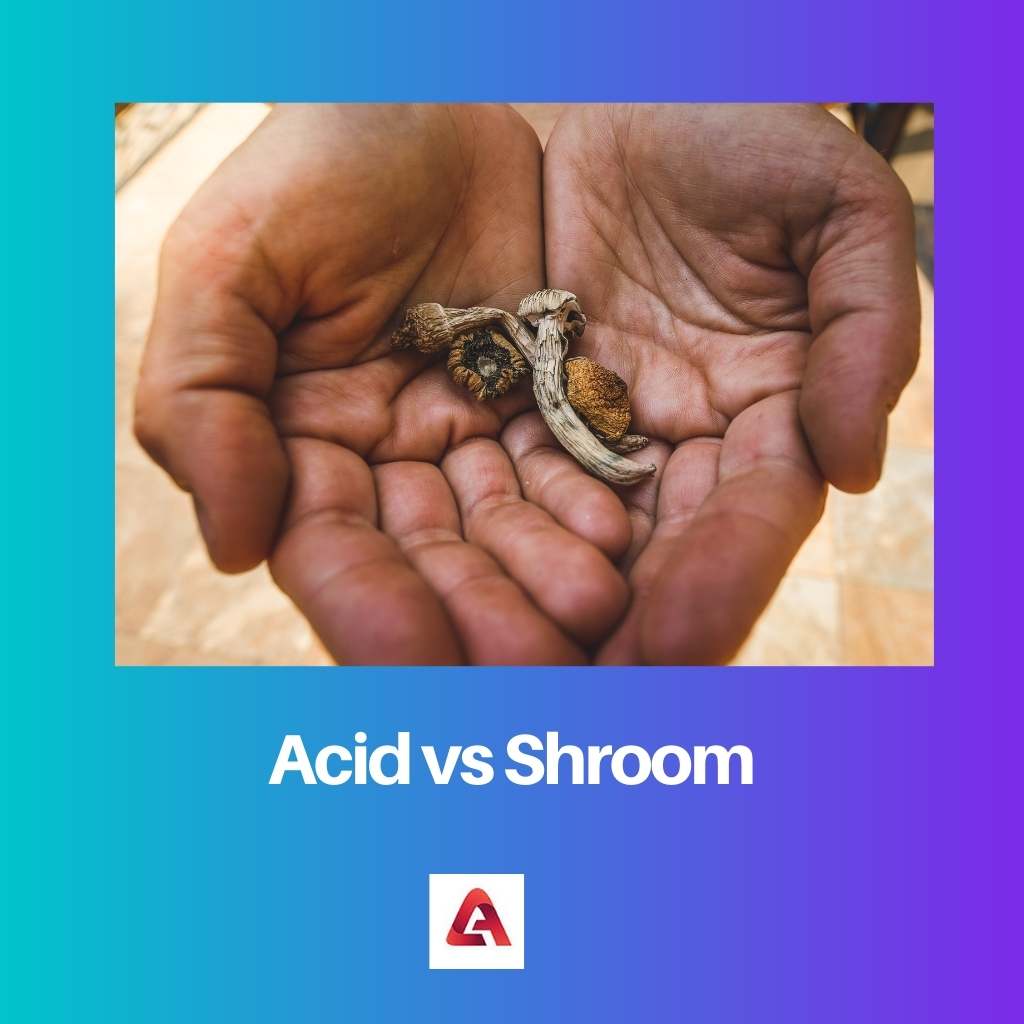 Acid vs Shroom