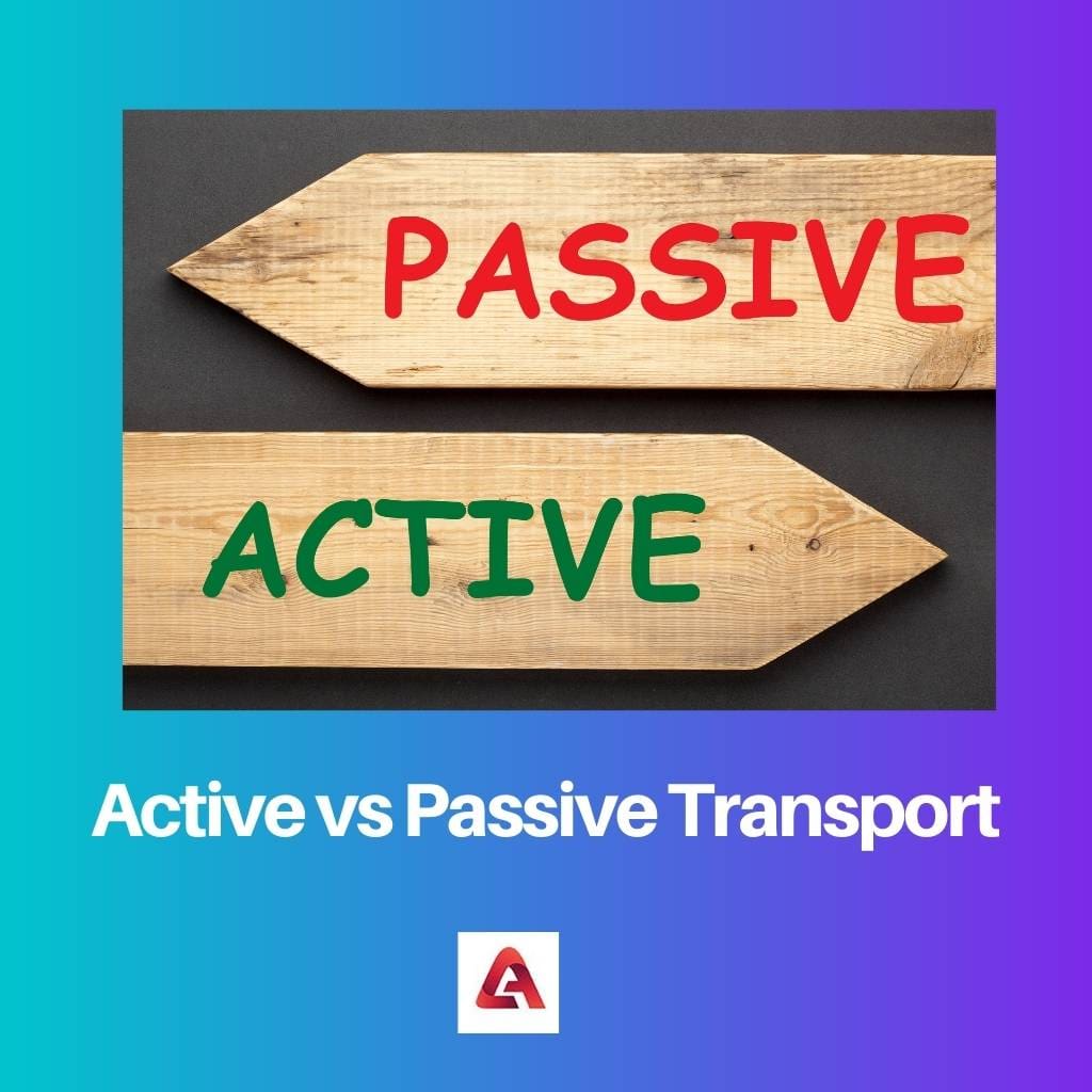 Active vs Passive Transport