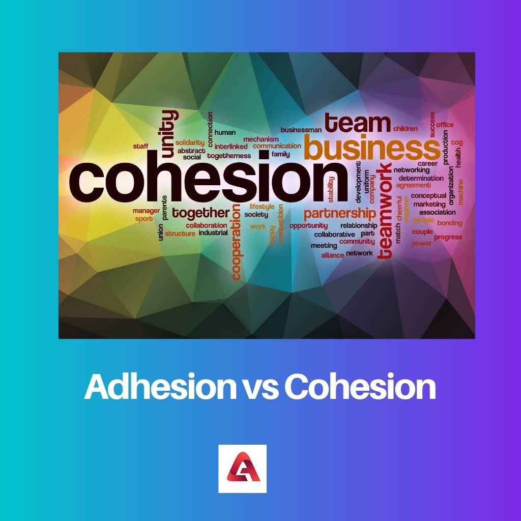 Adhesion vs Cohesion