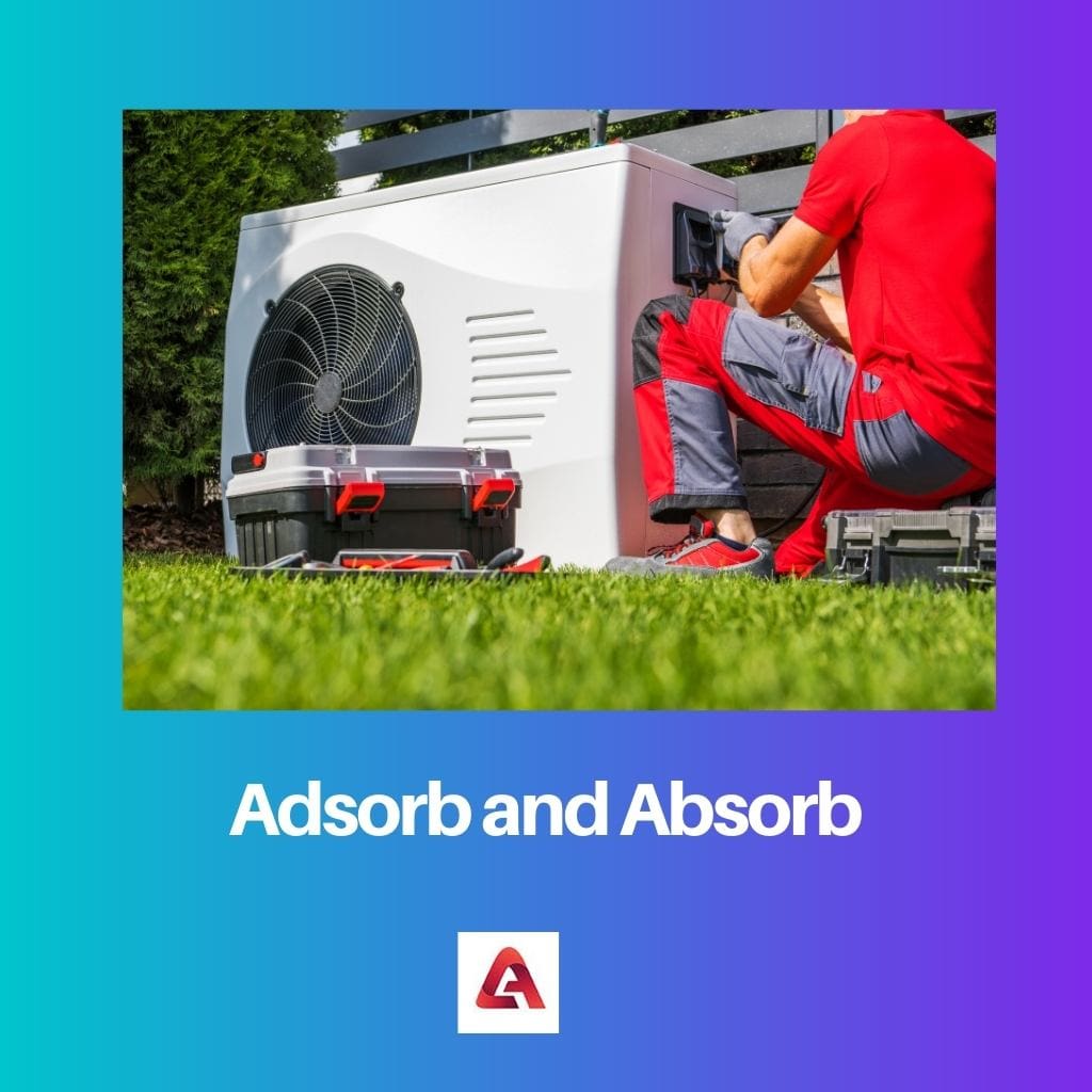 Adsorb and Absorb
