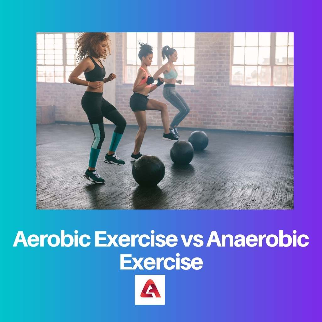 Aerobic Exercise vs Anaerobic