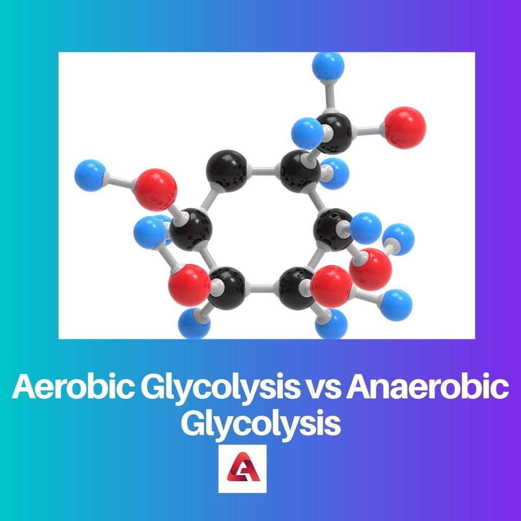Aerobic Glycolysis vs Anaerobic Glycolysis