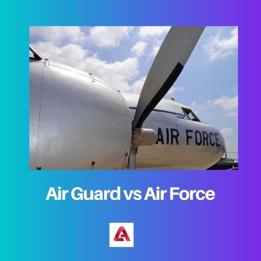 Air Guard vs Air Force