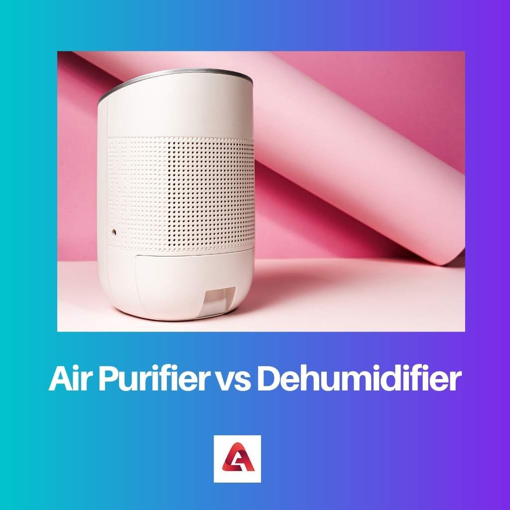 Air Purifier vs Dehumidifier