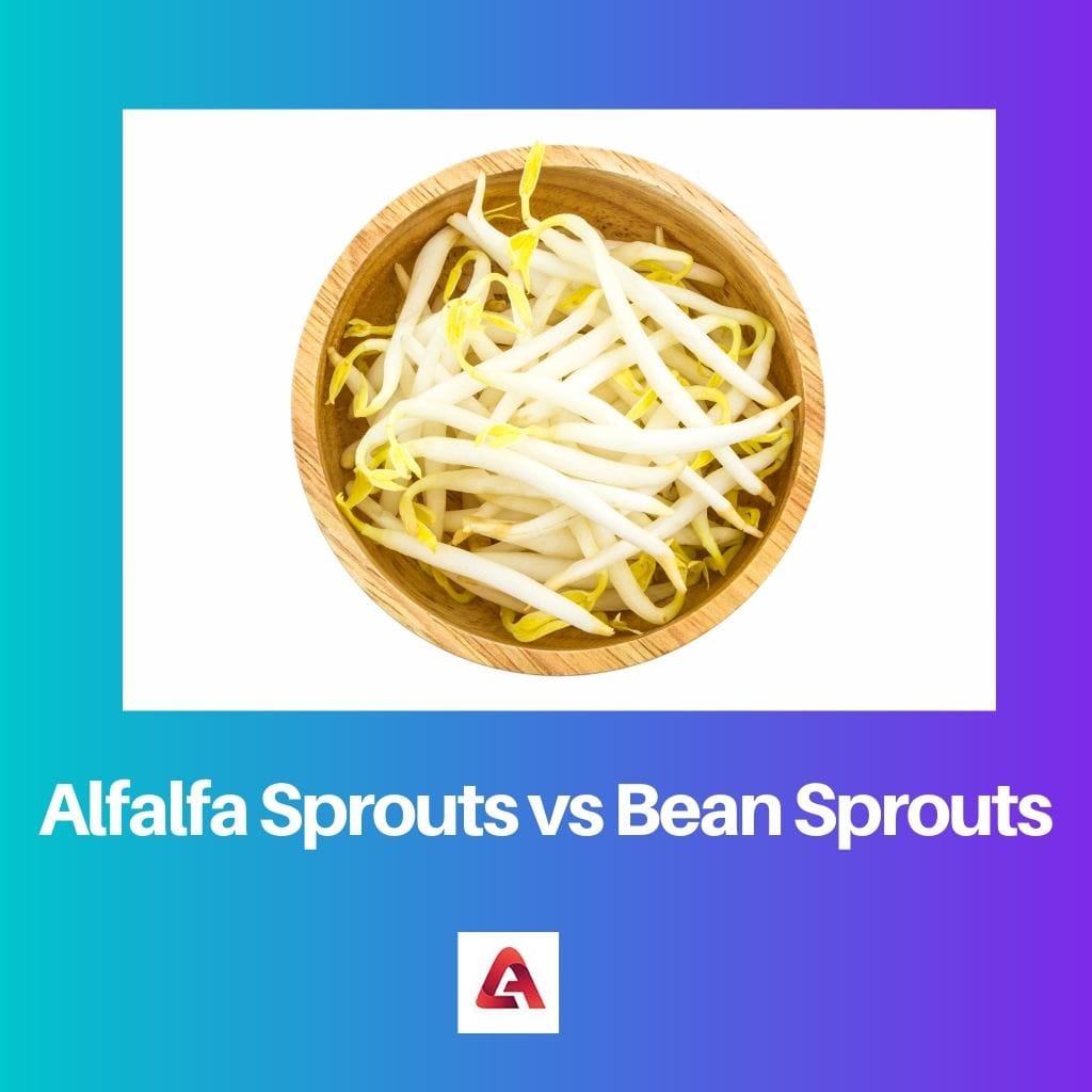 Alfalfa Sprouts vs Bean Sprouts