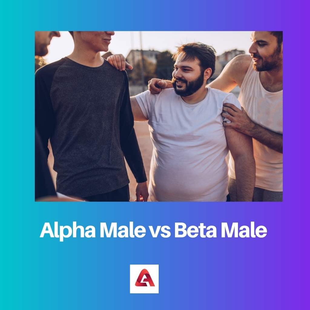 Alpha Male vs Beta Male