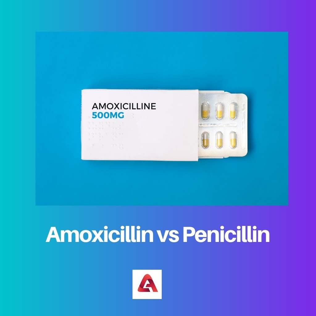 Amoxicillin vs Penicillin