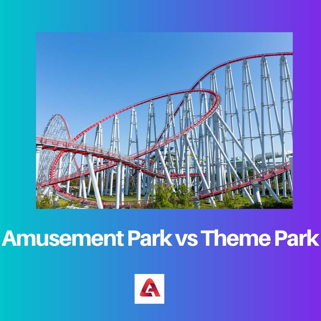 Amusement Park vs Theme Park