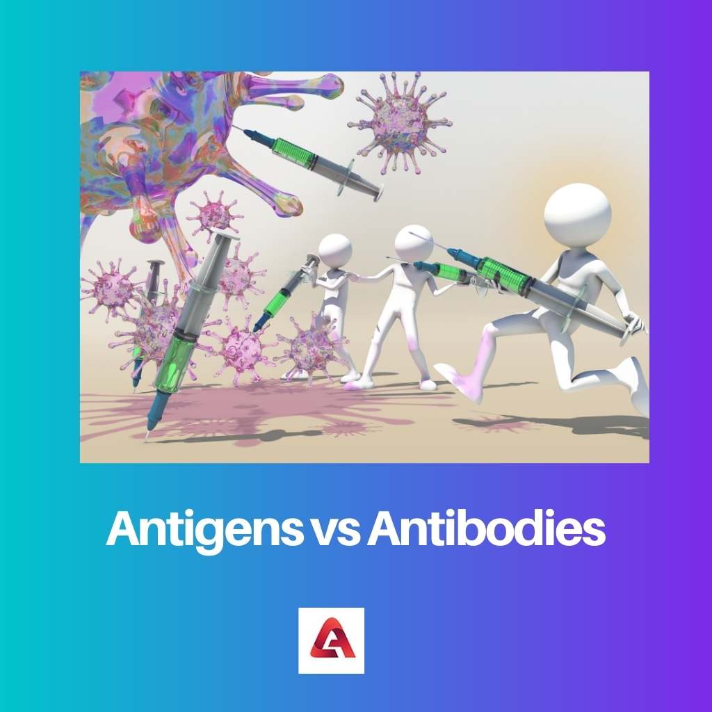 Antigens vs Antibodies