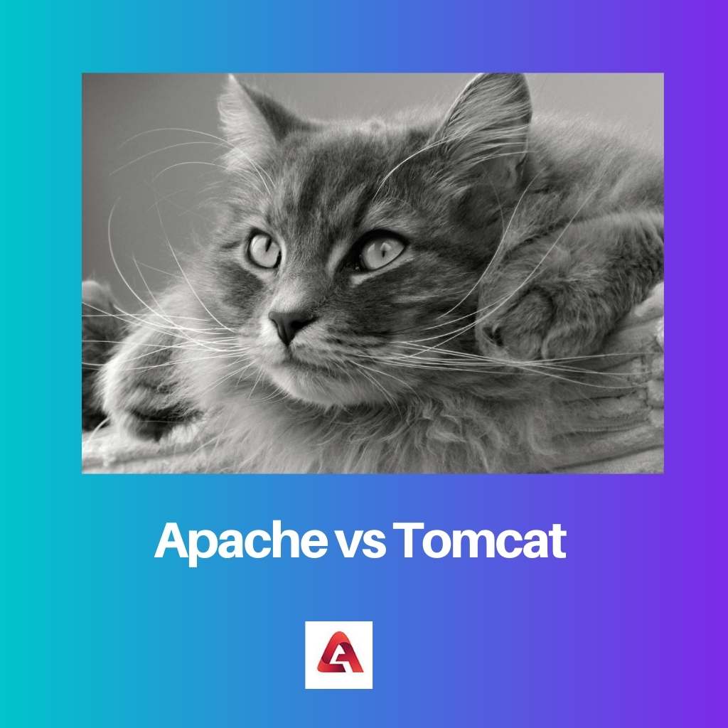 Apache vs Tomcat