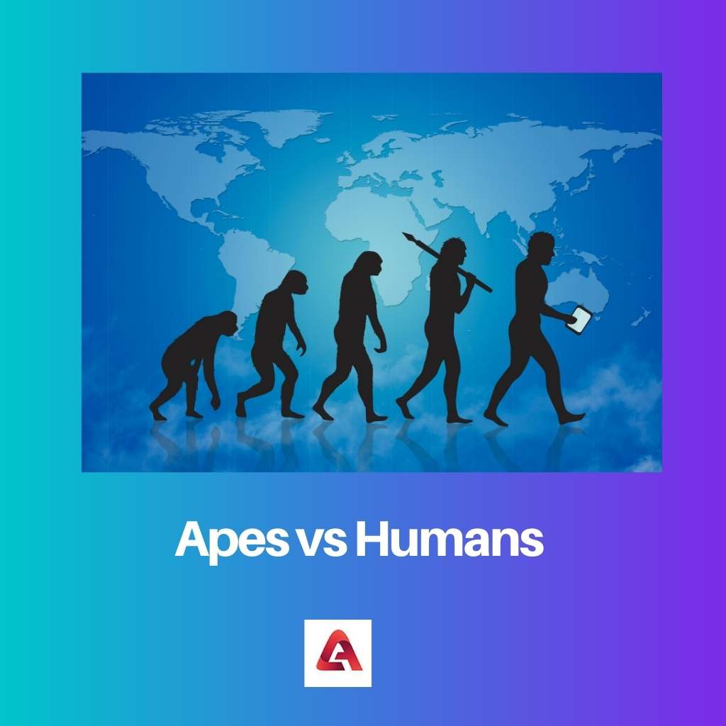 Apes vs Humans