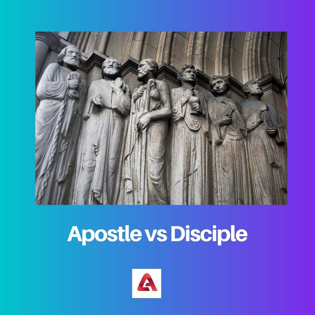 Apostle vs Disciple