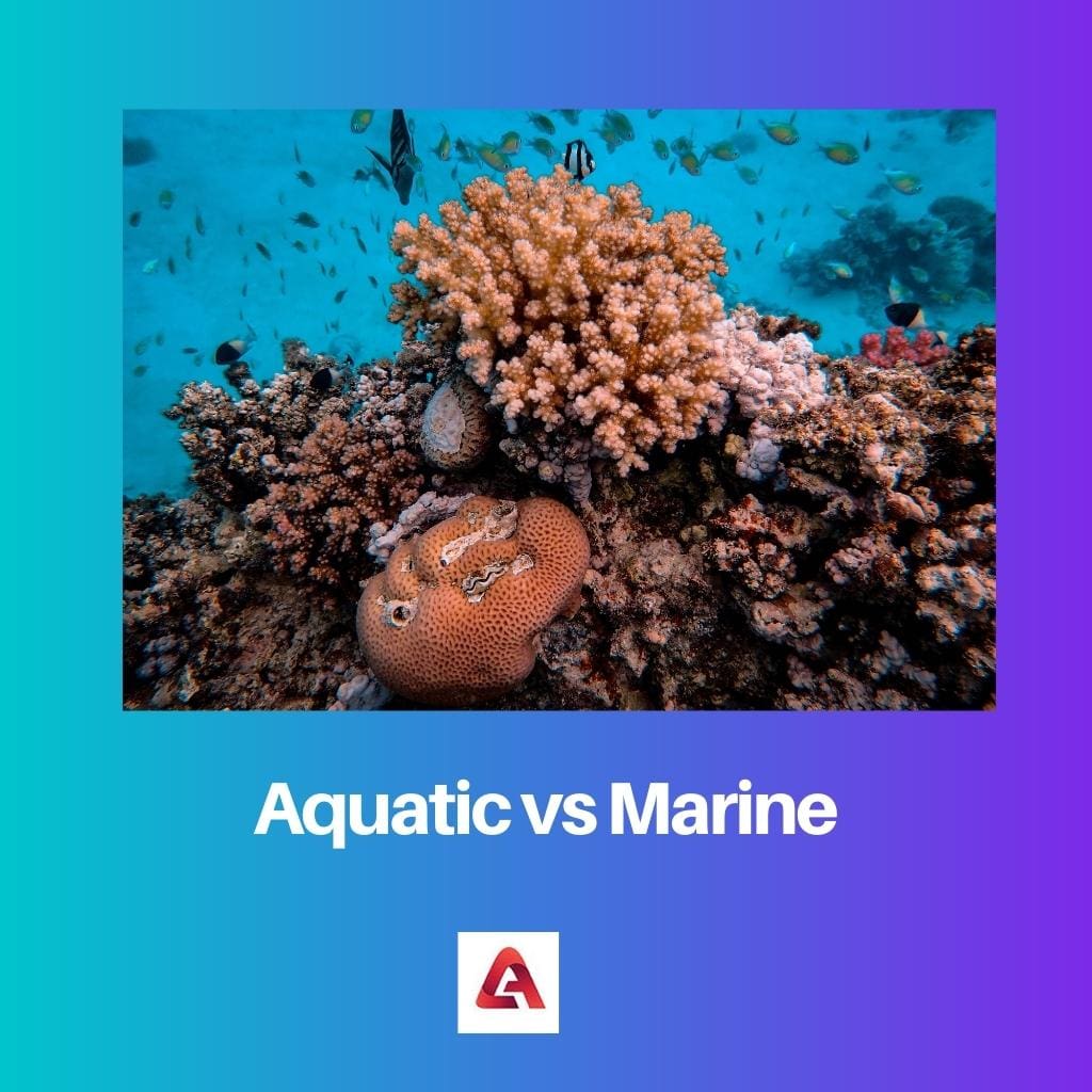 Aquatic vs Marine