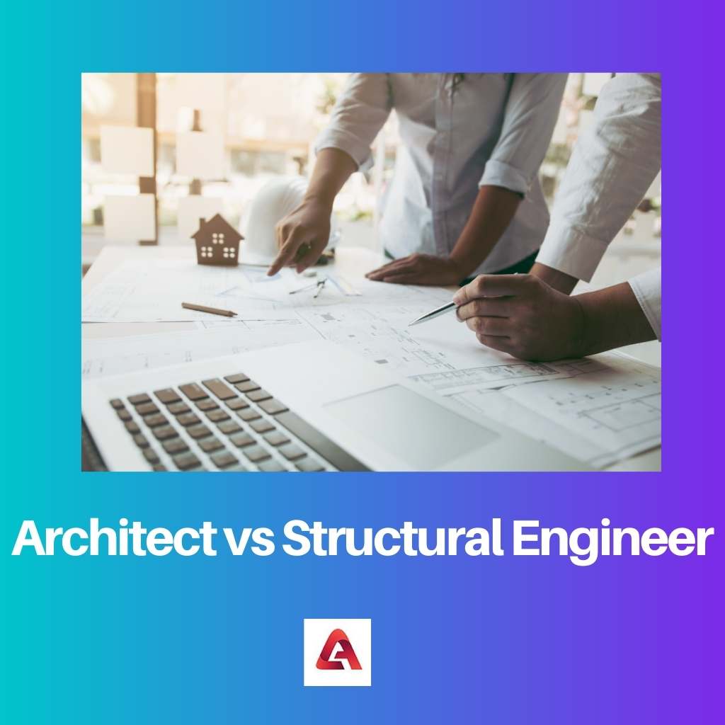 Architect vs Structural Engineer
