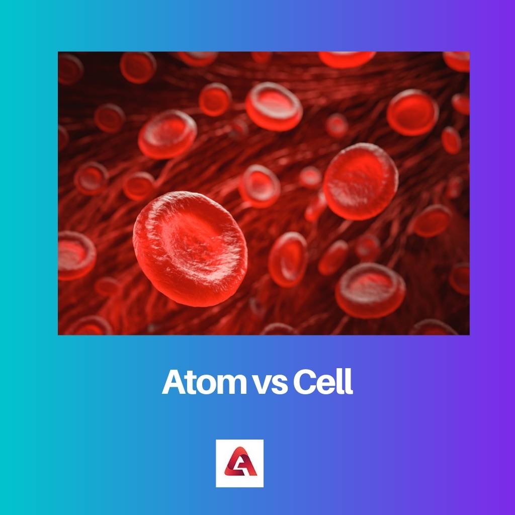 Atom vs Cell