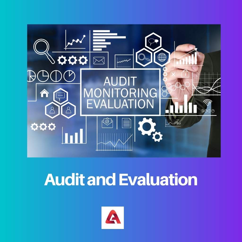 Audit and Evaluation
