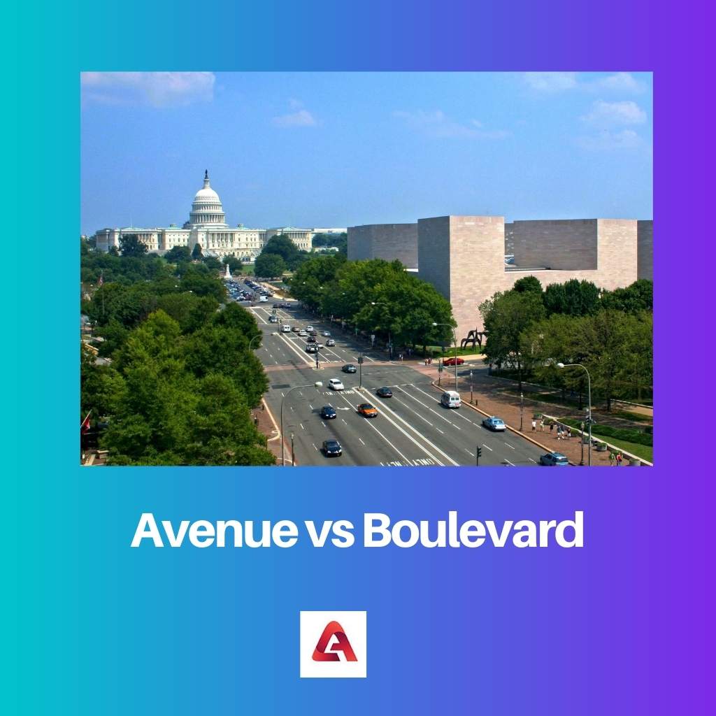 Avenue vs Boulevard