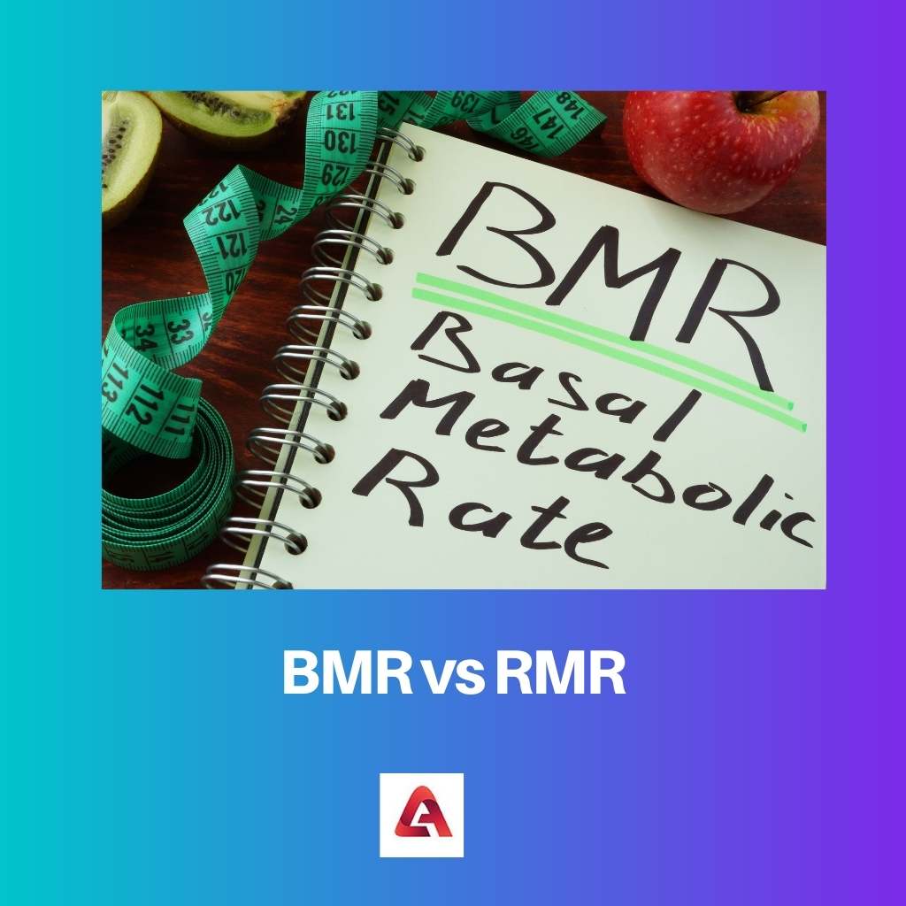 BMR vs RMR