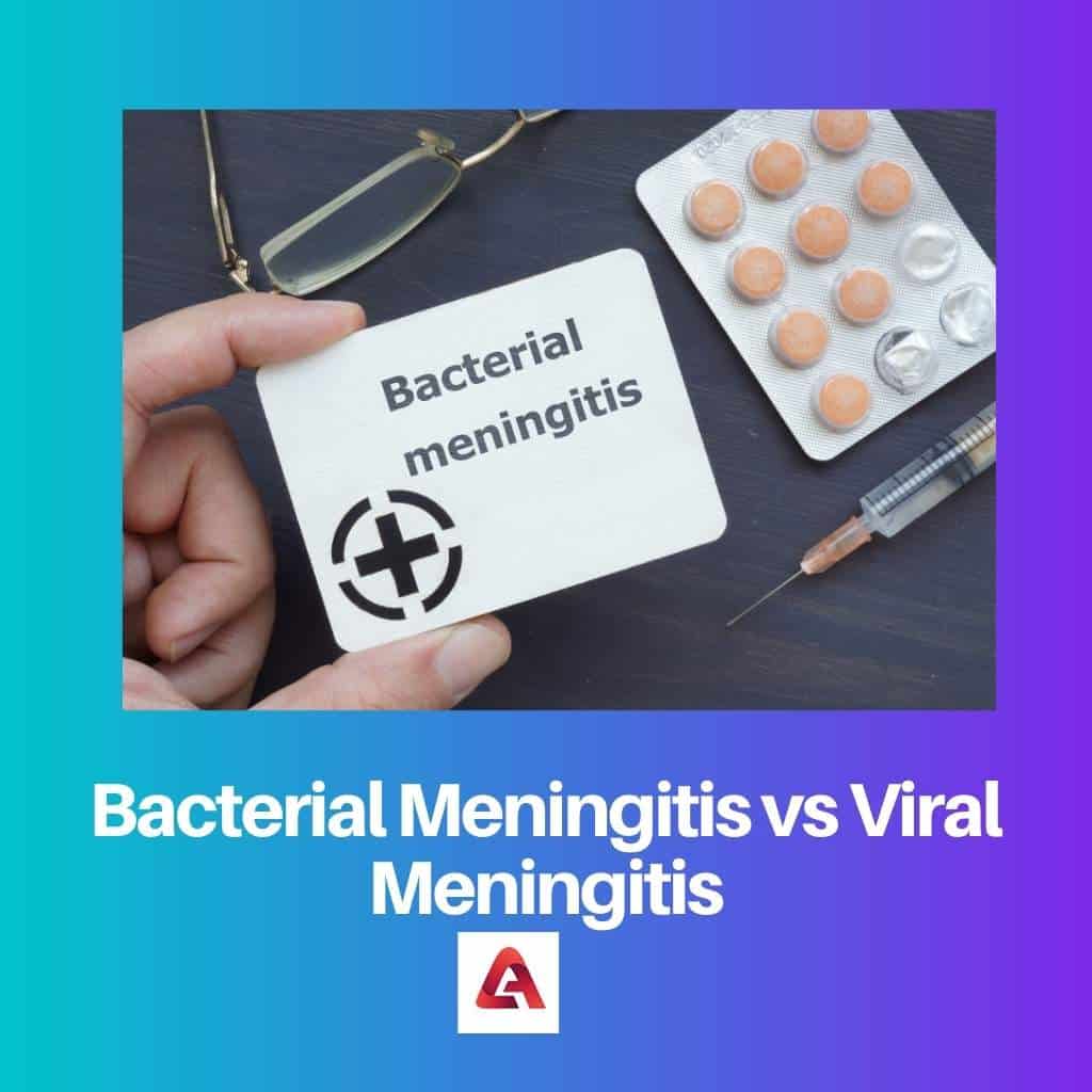 Bacterial Meningitis Vs Viral Meningitis: Difference And Comparison