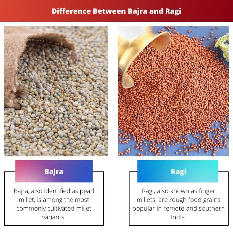Bajra vs Ragi – Difference Between Bajra and Ragi