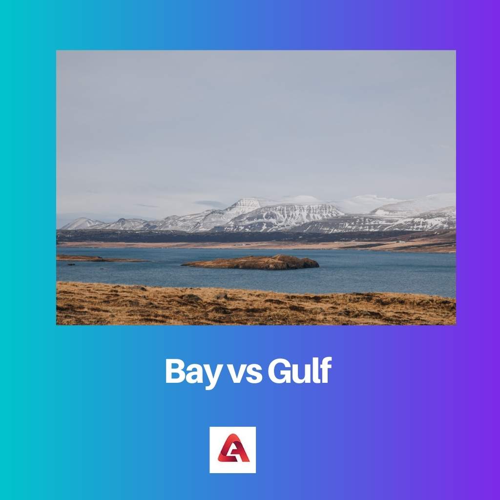 Bay vs Gulf