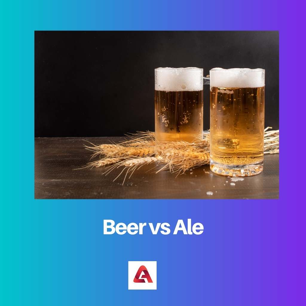Beer vs Ale