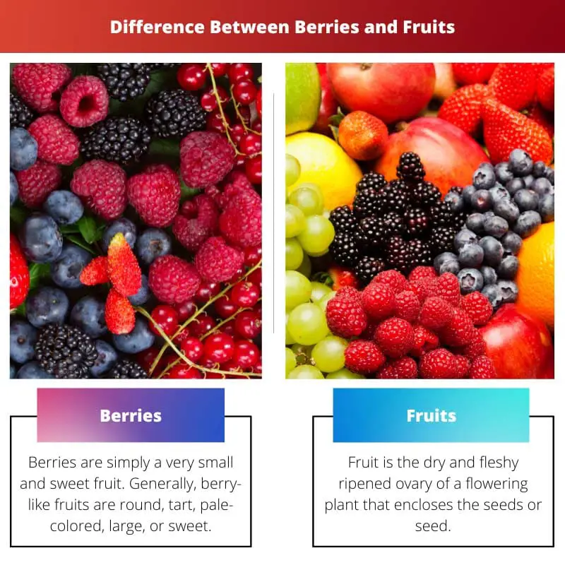 Berries vs Fruits – Difference Between Berries and Fruits