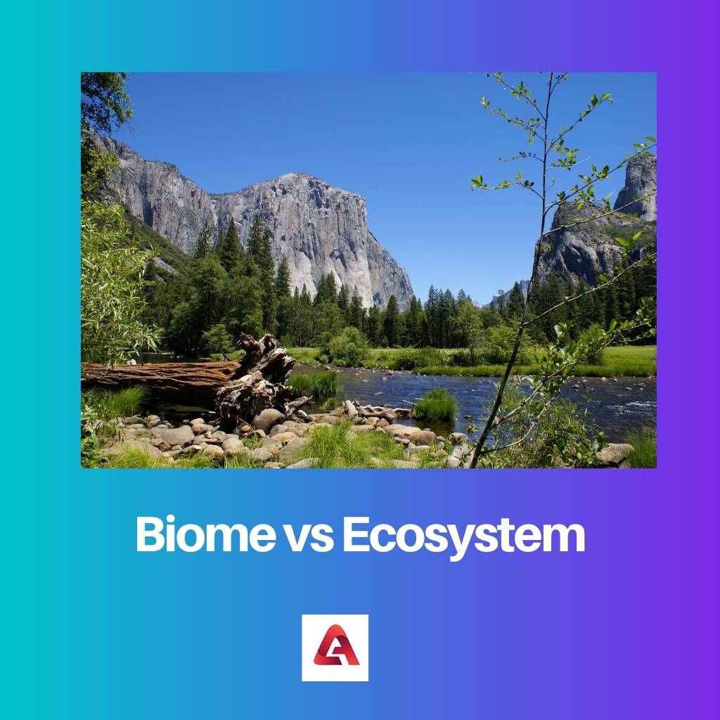 Biome vs Ecosystem