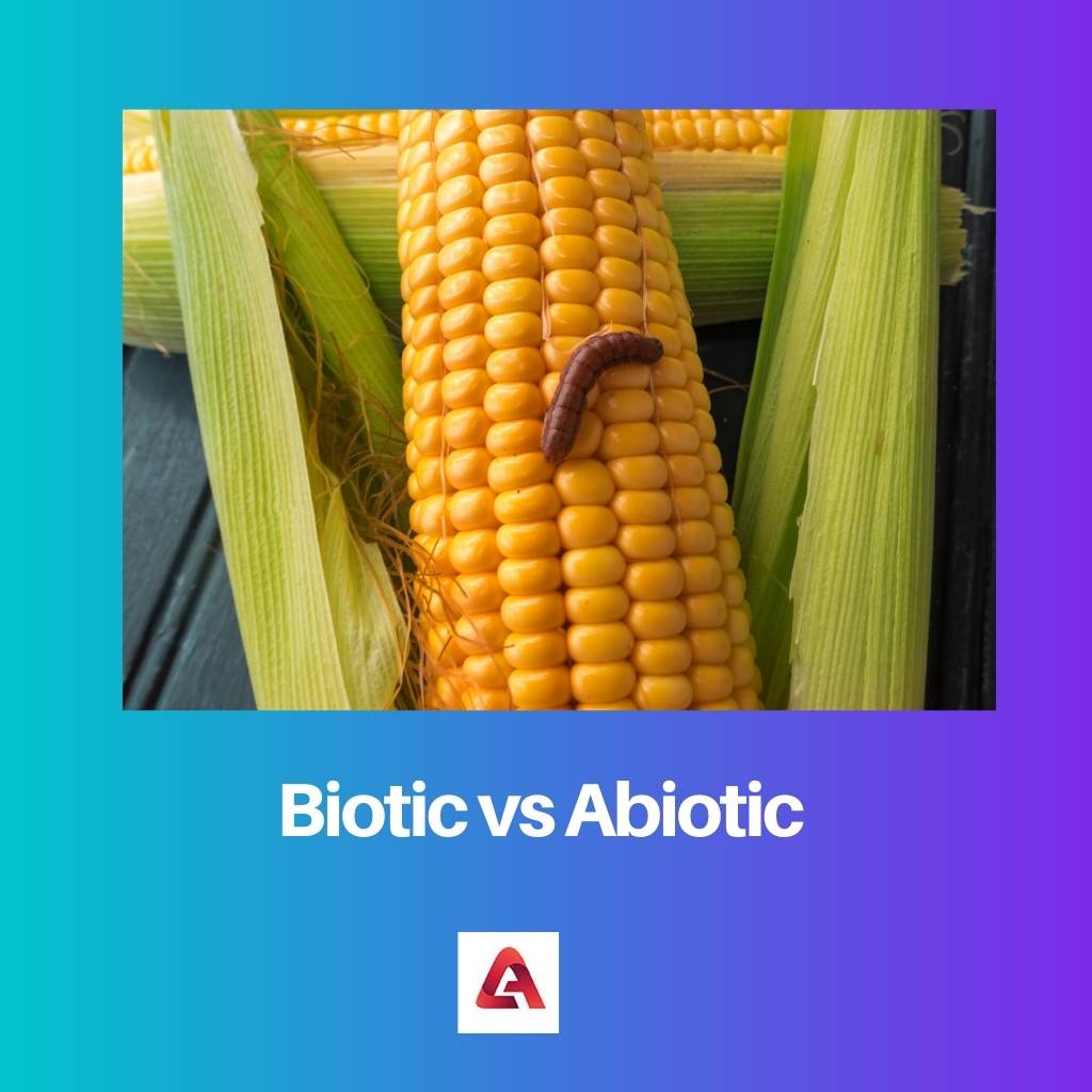 Biotic vs Abiotic