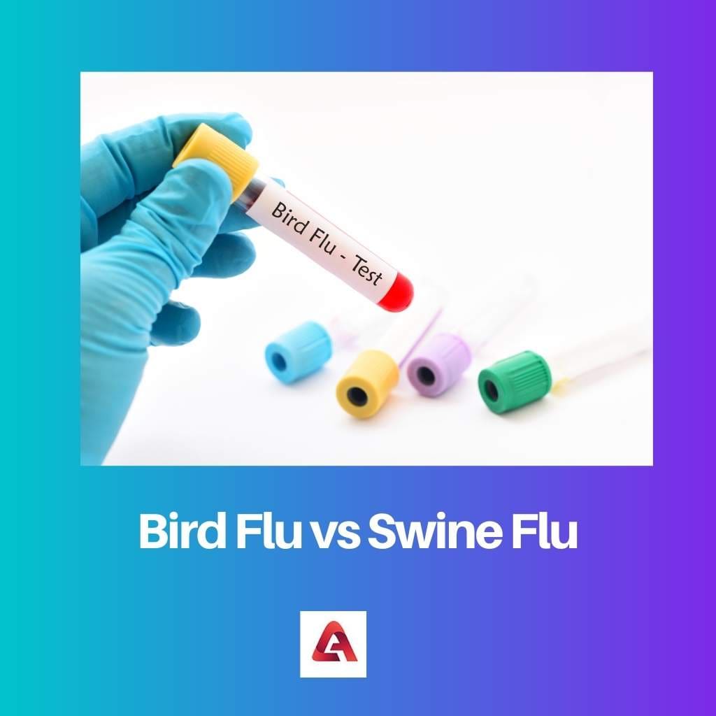 Bird Flu vs Swine Flu