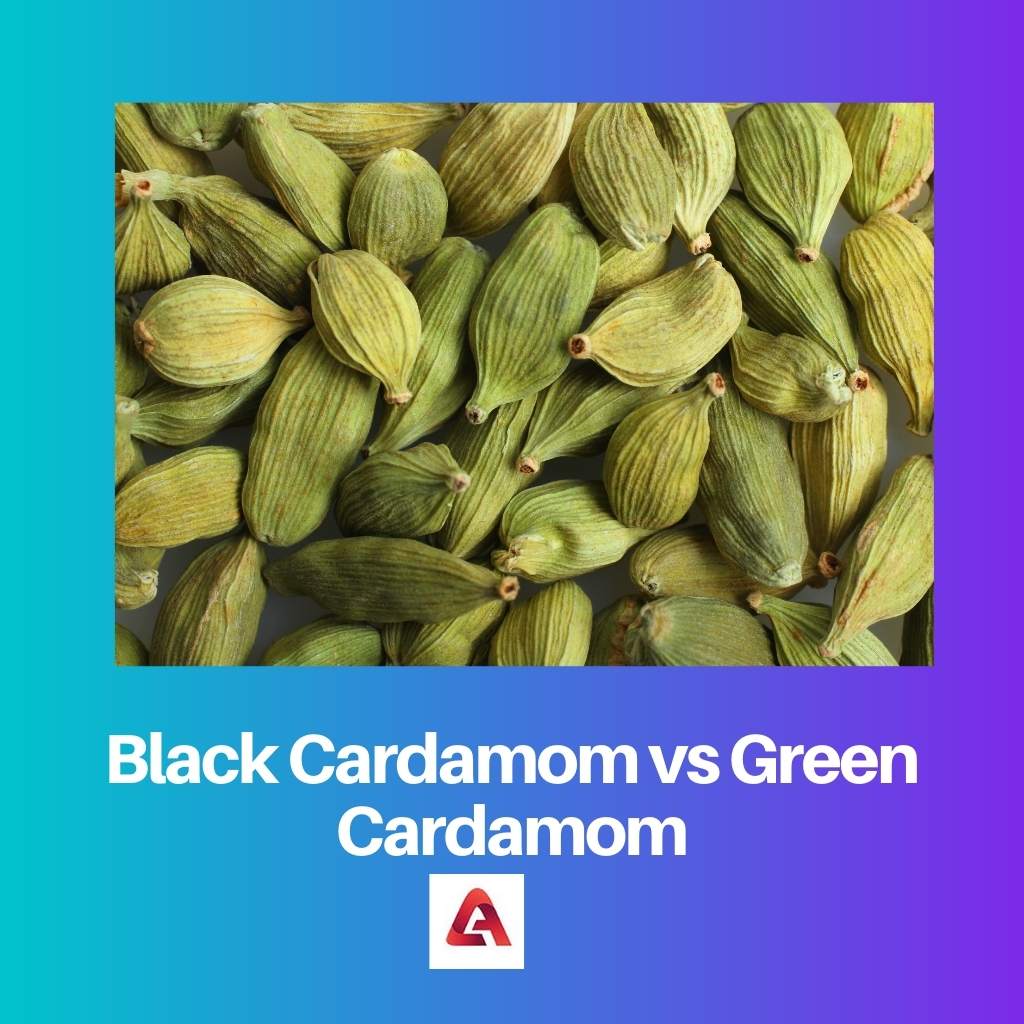 Black Cardamom vs Green Cardamom