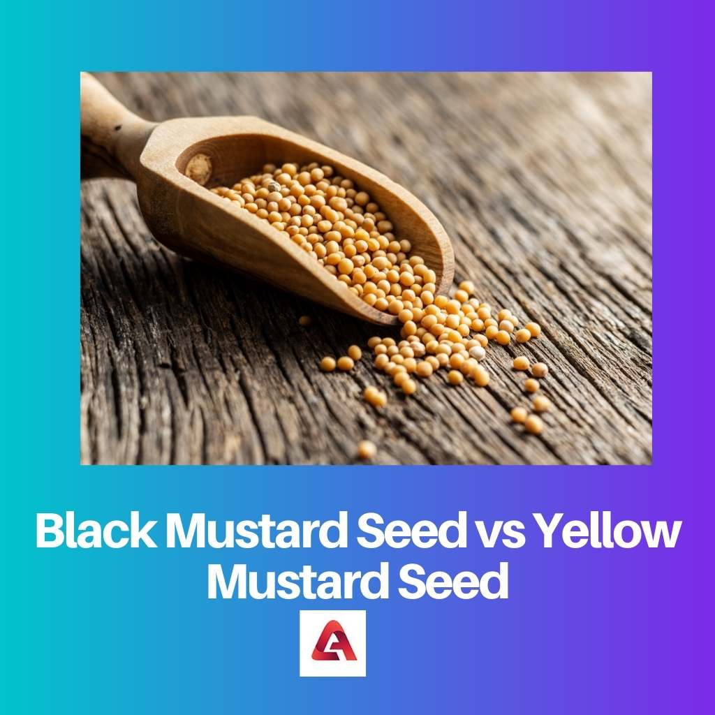 Black Mustard Seed vs Yellow Mustard Seed