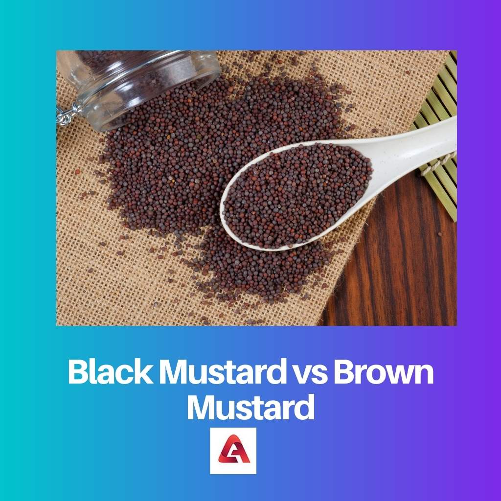 Black Mustard vs Brown Mustard