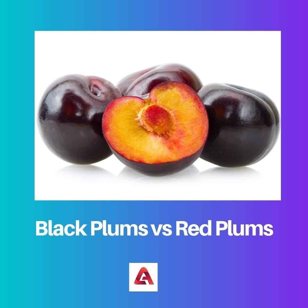 Black Plums vs Red Plums