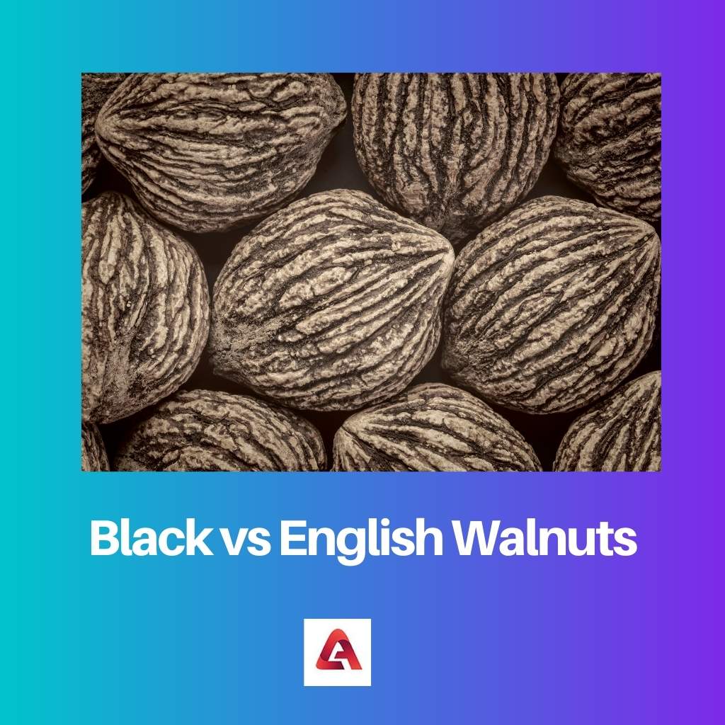 Black vs English Walnuts