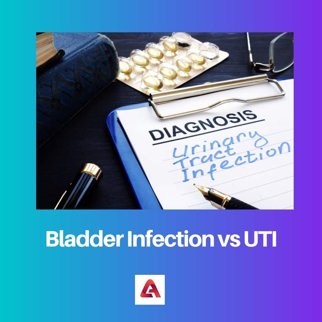 Bladder Infection vs UTI