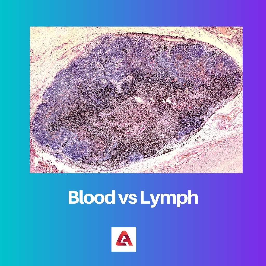 Blood vs Lymph