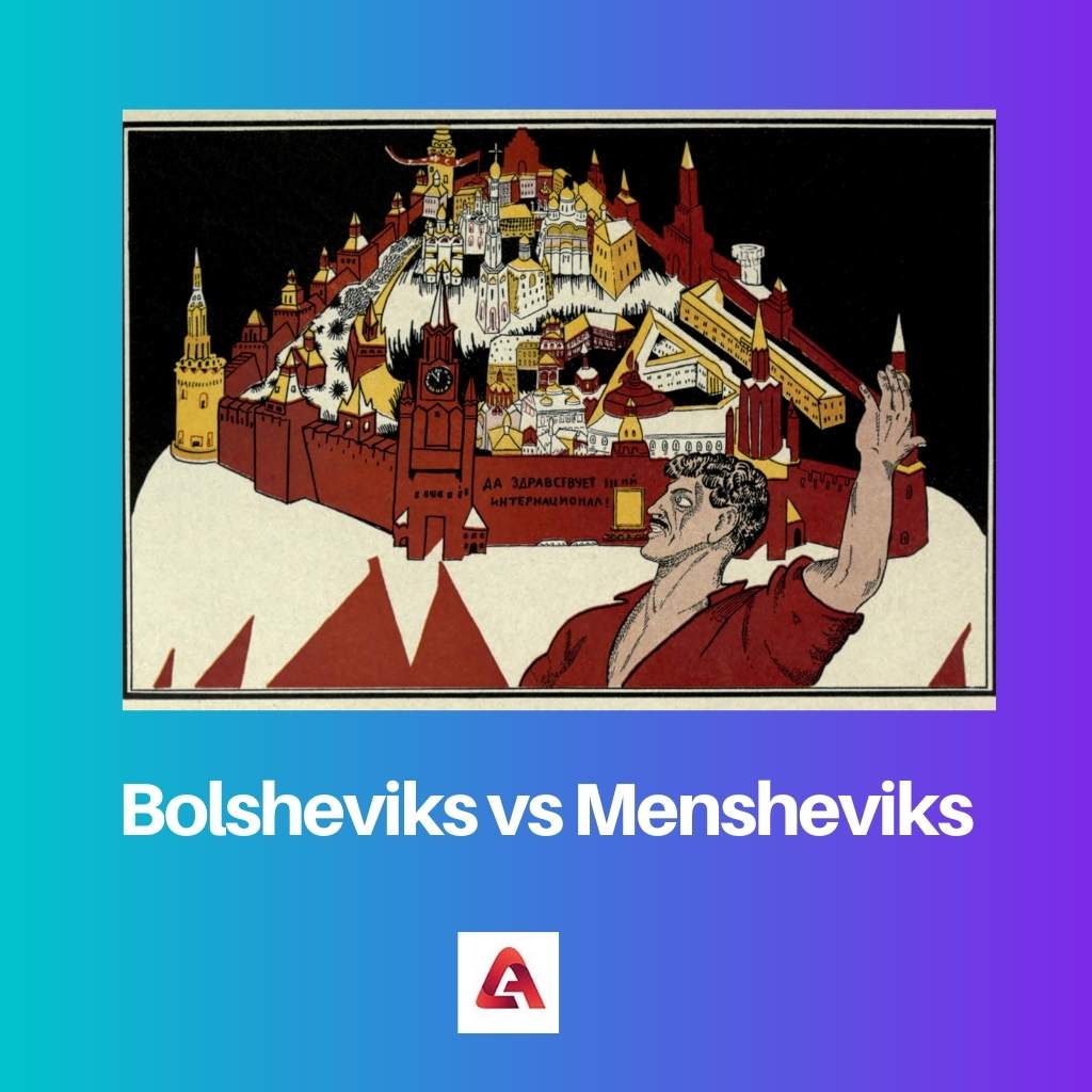 Bolsheviks vs Mensheviks