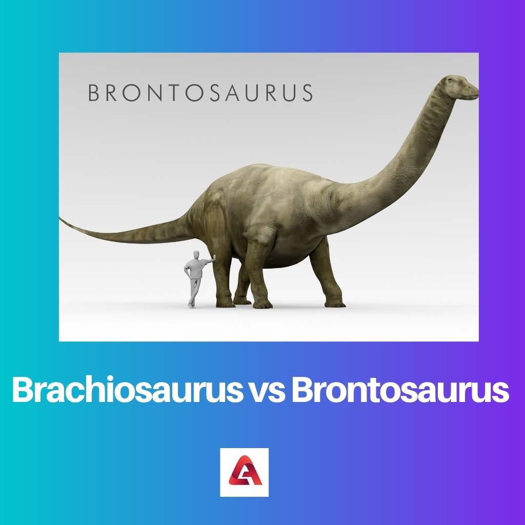 Brachiosaurus vs Brontosaurus