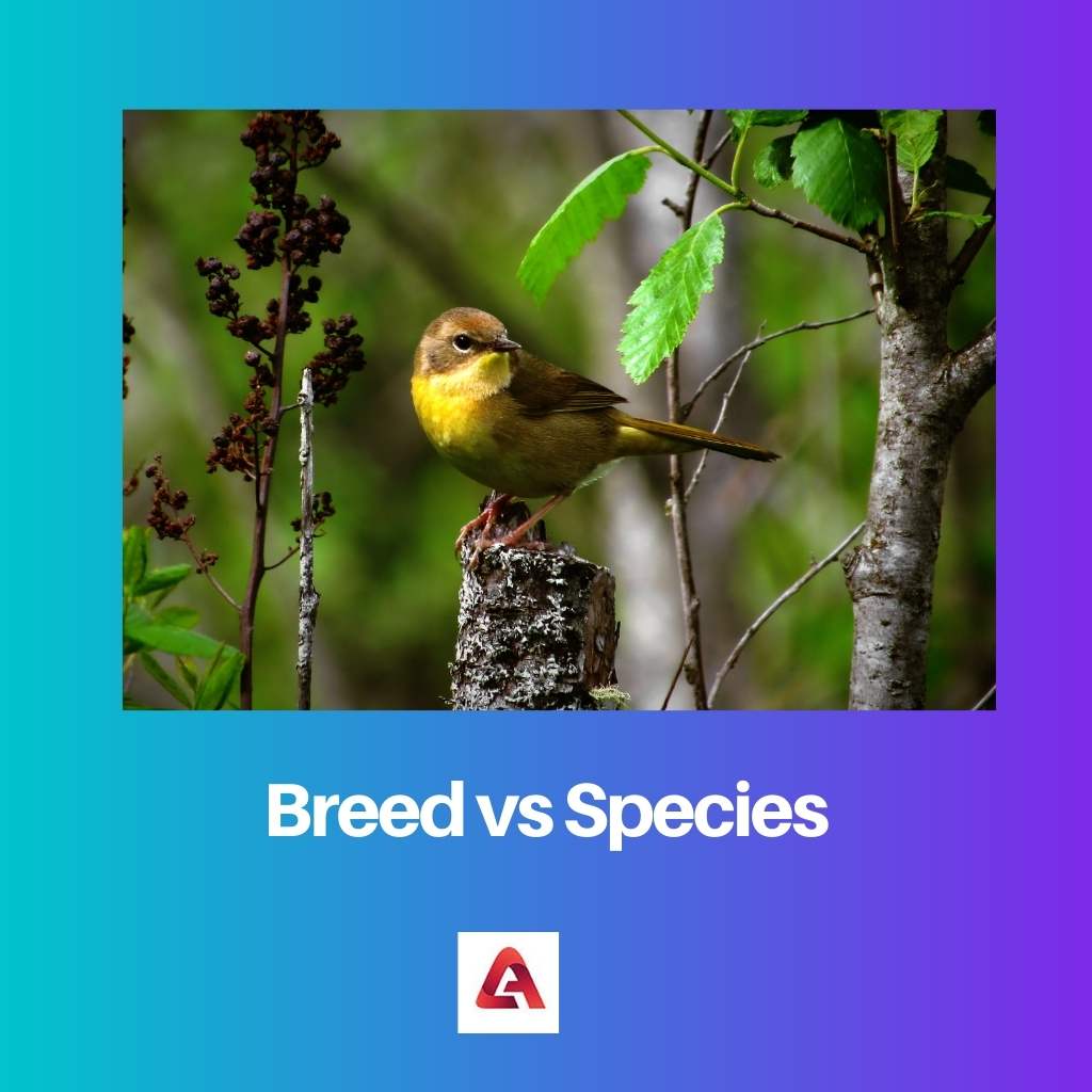Breed vs Species
