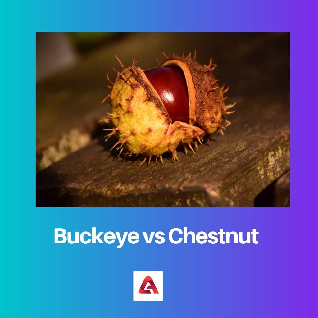 Buckeye vs Chestnut