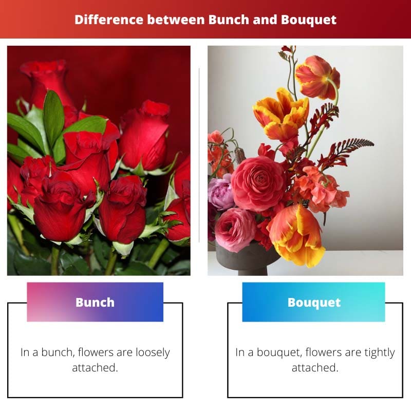 Bunch vs Bouquet – Whats the difference