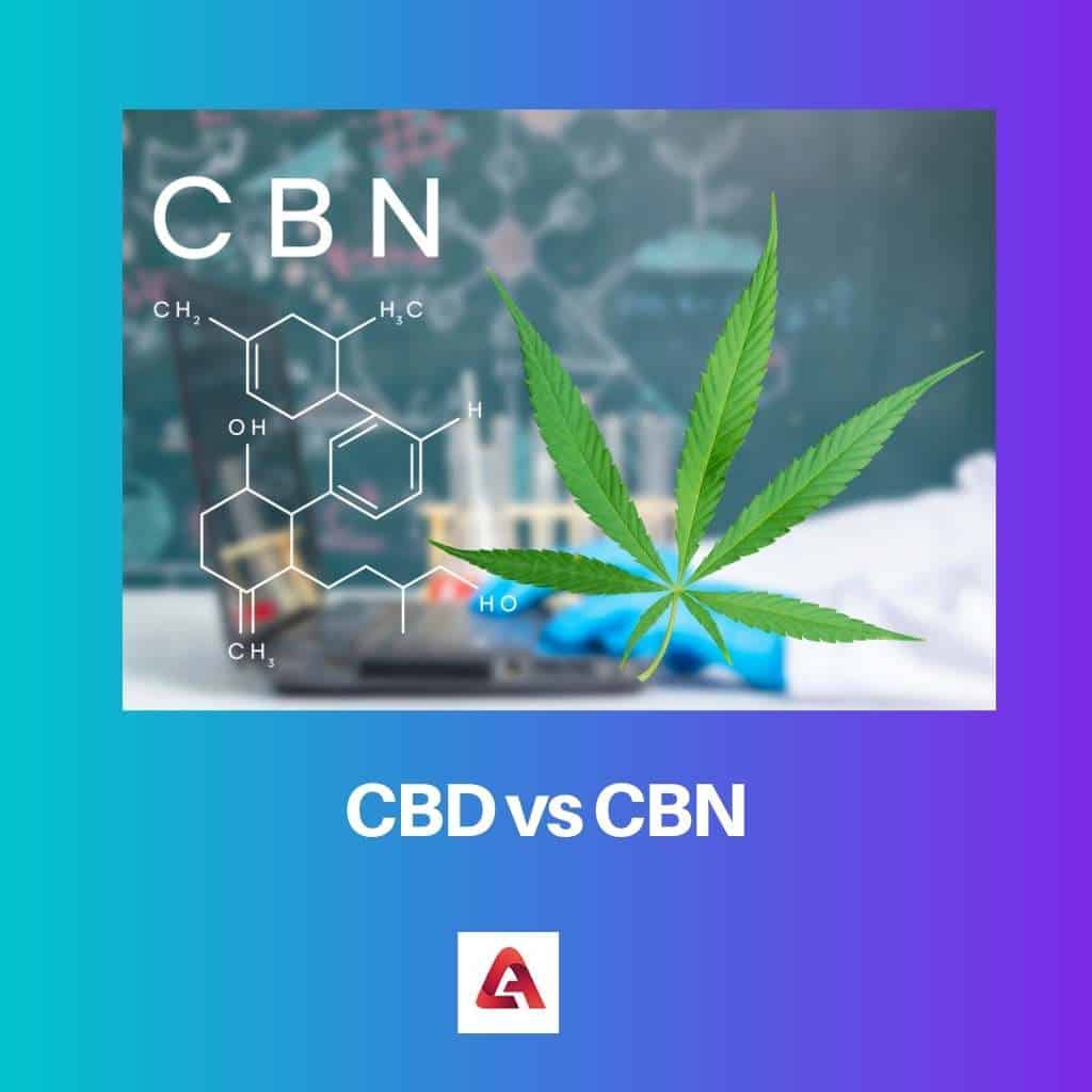 CBD Vs CBN: Difference And Comparison