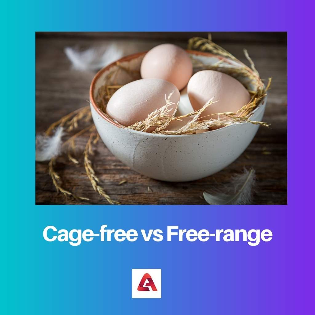 Cage free vs Free range