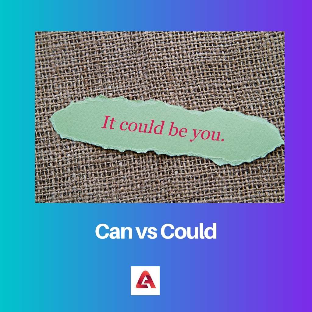 Can vs Could 1