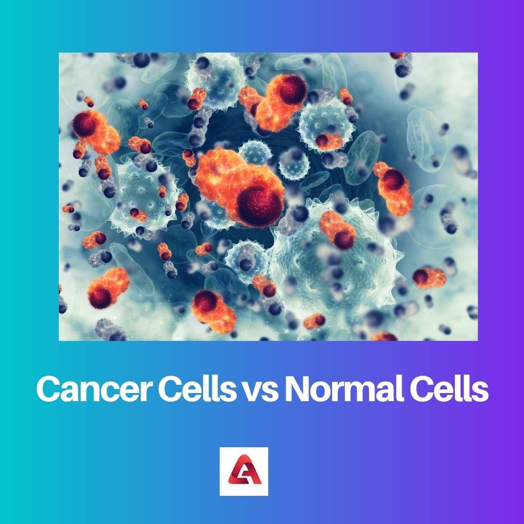 Cancer Cells vs Normal Cells
