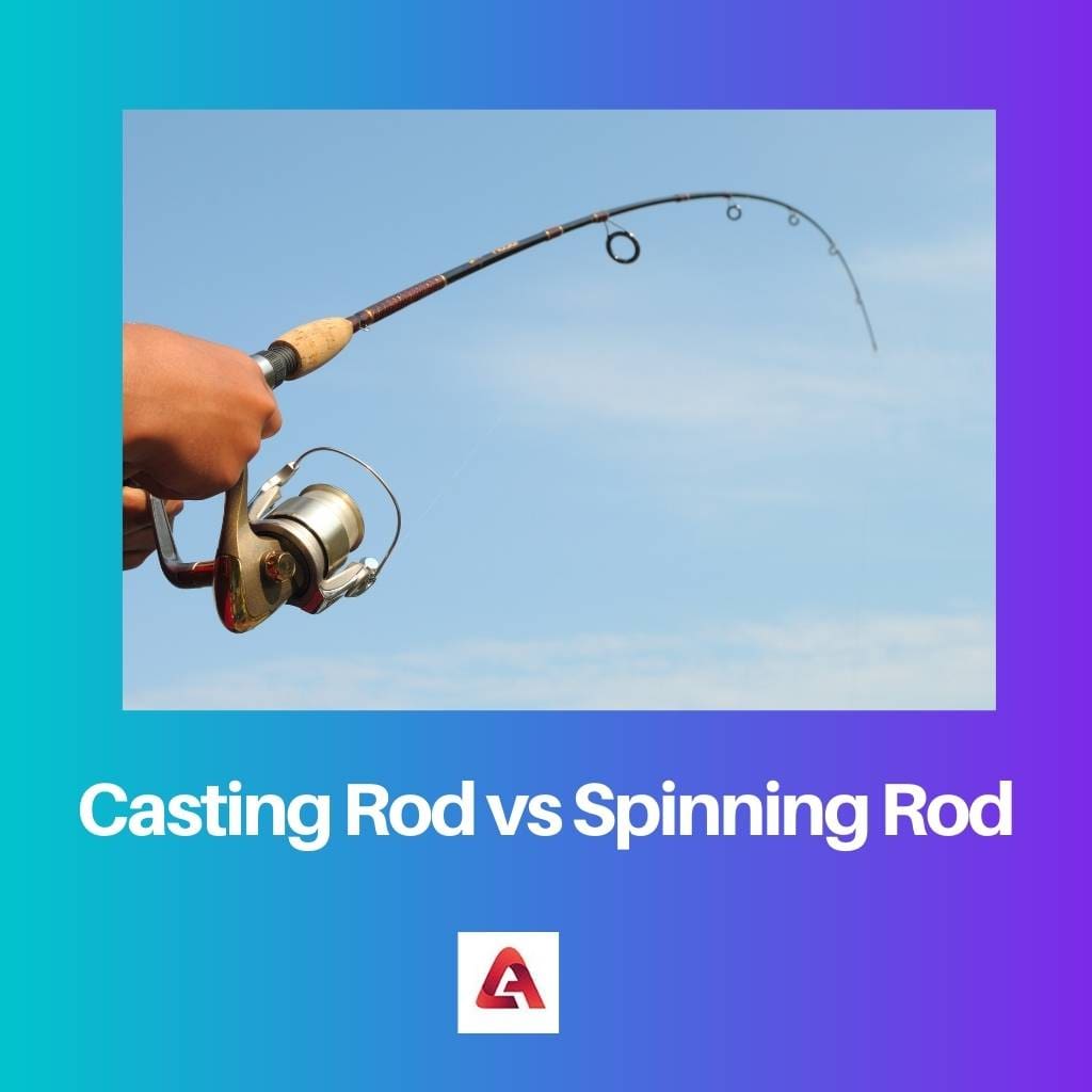Casting Rod vs Spinning Rod